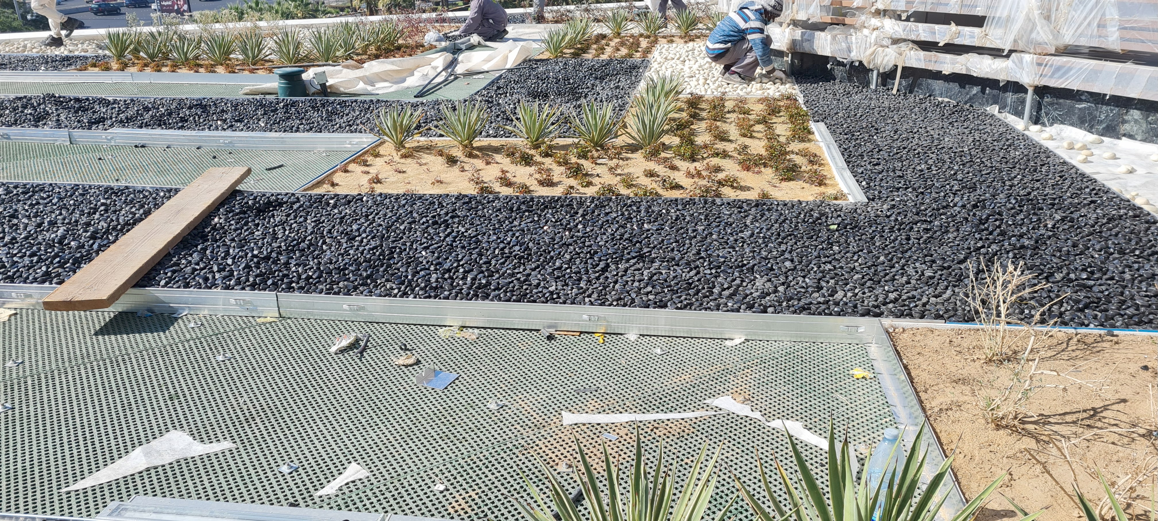 Landscaping 1