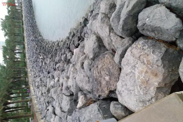Landscaping 1