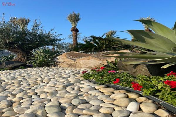 Landscaping 1