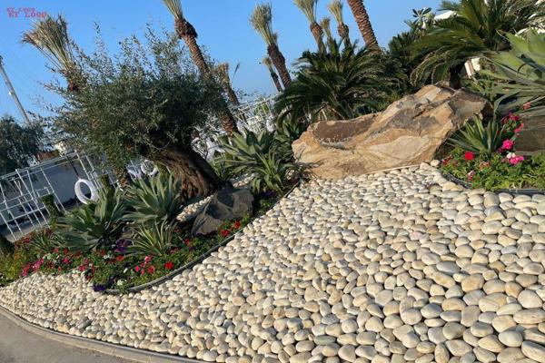 Landscaping 5