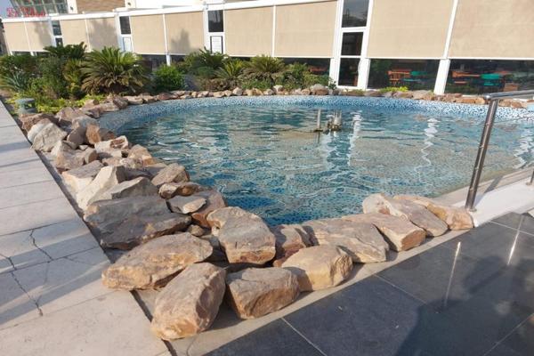 Landscaping 1