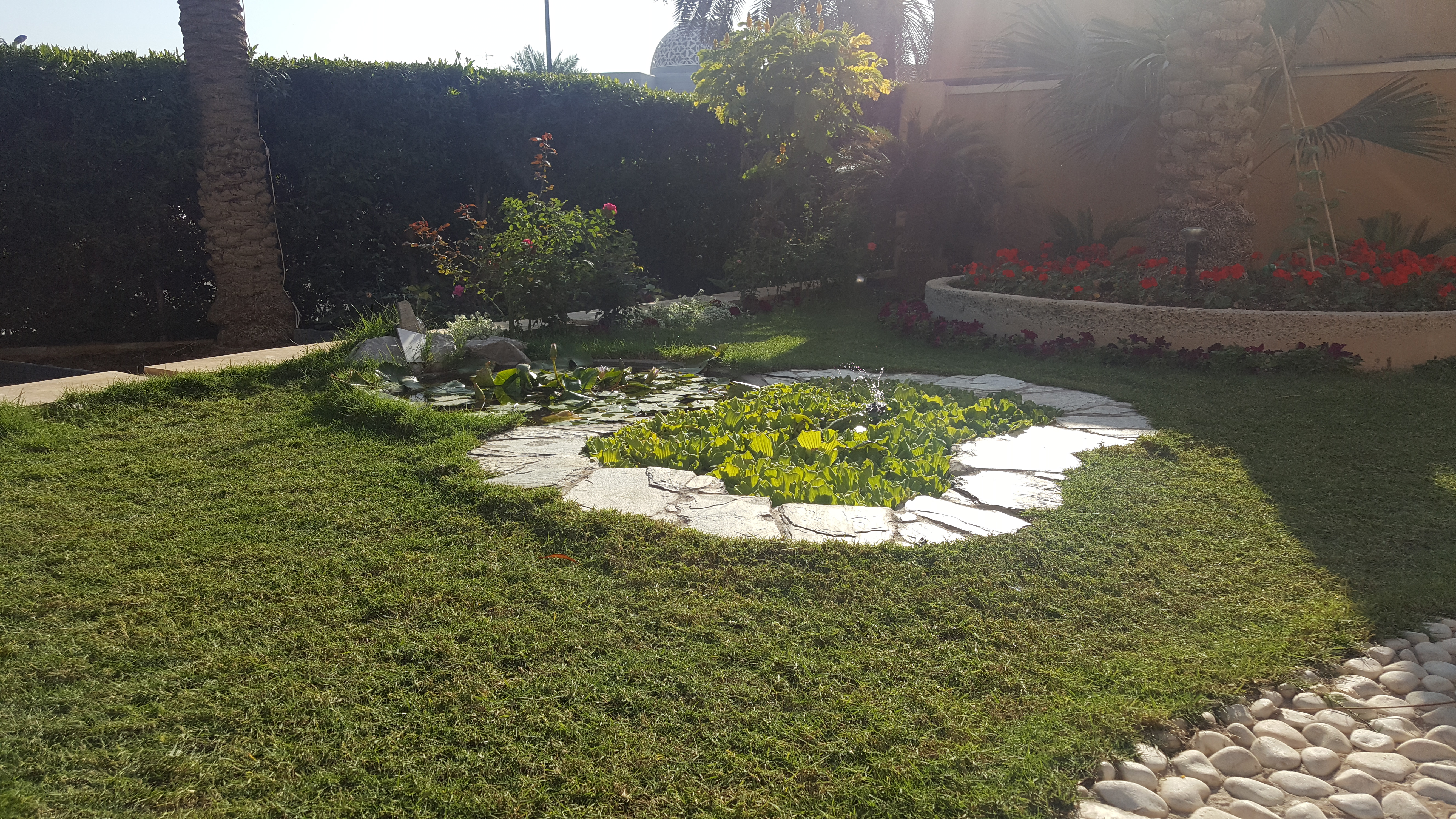 Water Feature 1